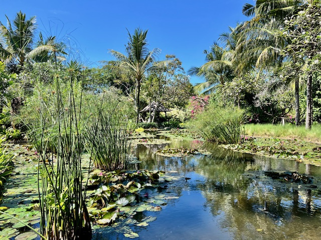 My Stay at the Bali Hyatt: A Serene Escape