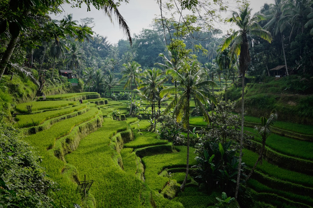 Exploring Bali: Top Activities & Attractions