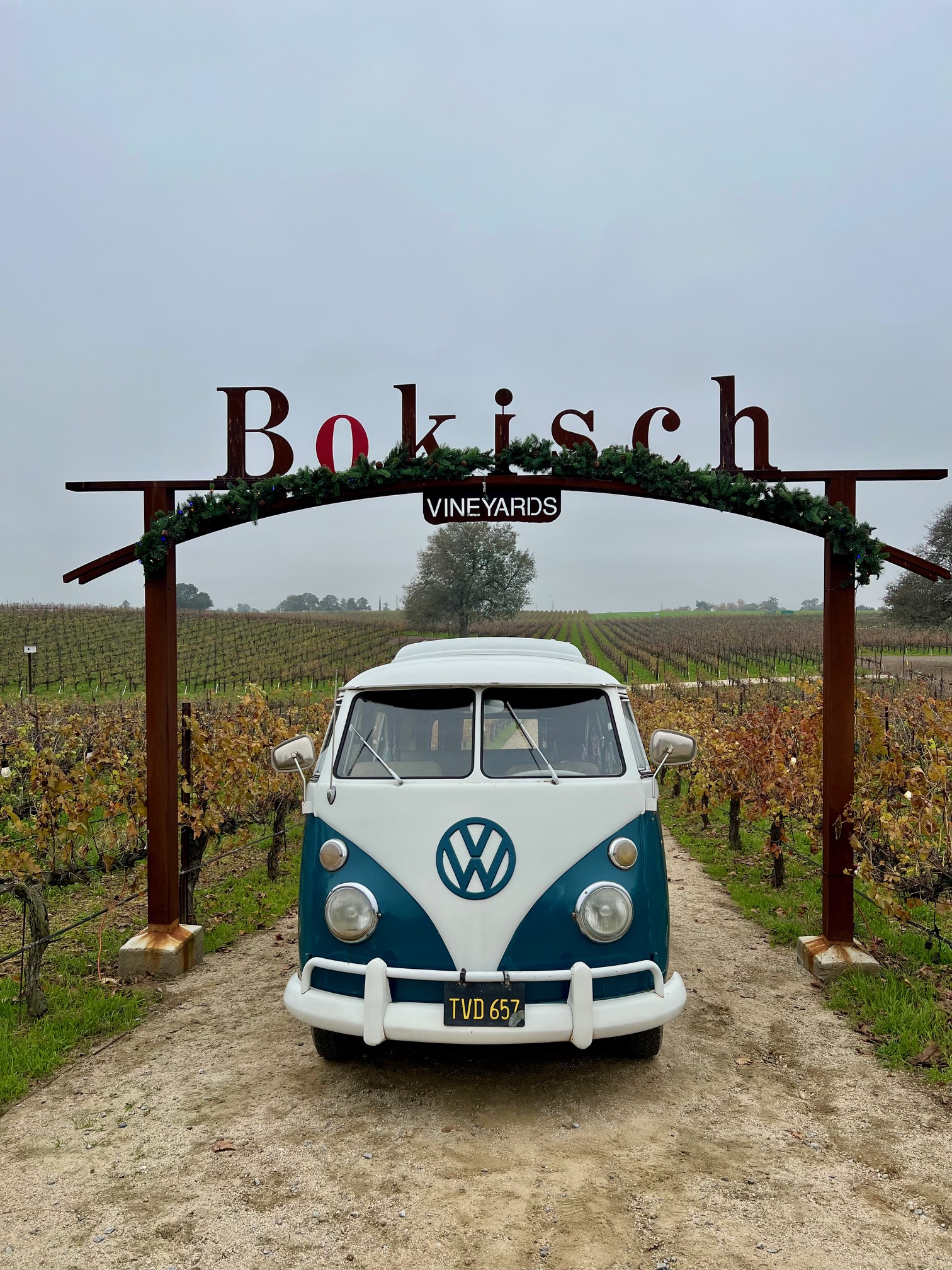🎄 A Catalan Holiday Kind of Magic at Bokisch Vineyards