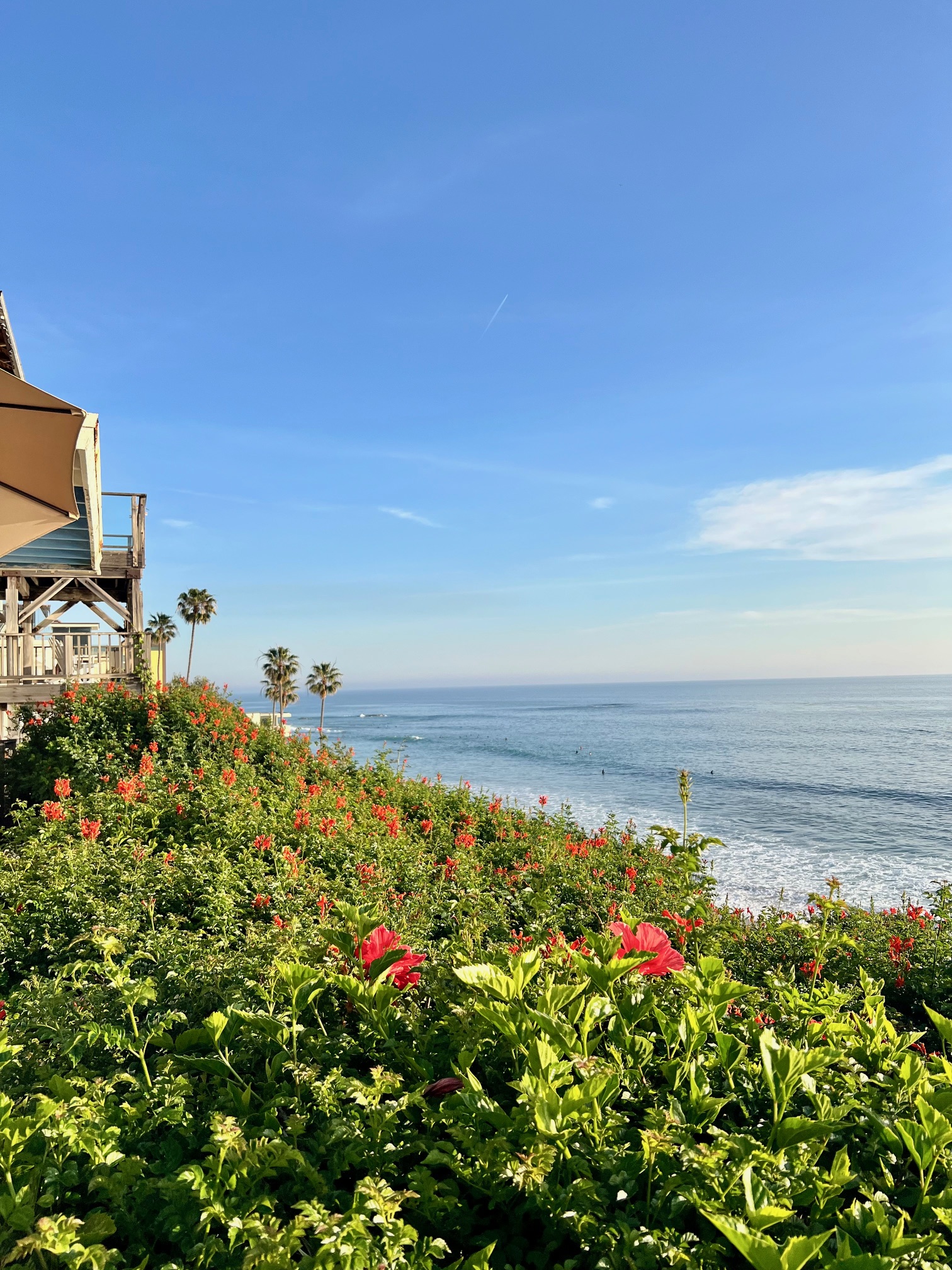 Laguna Beach Travel Guide (2026): 2–3 Day Itinerary, Best Beaches & Where to Stay